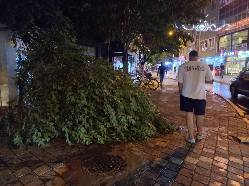 Iğdırda şiddetli rüzgar ağaç dallarını kırdı