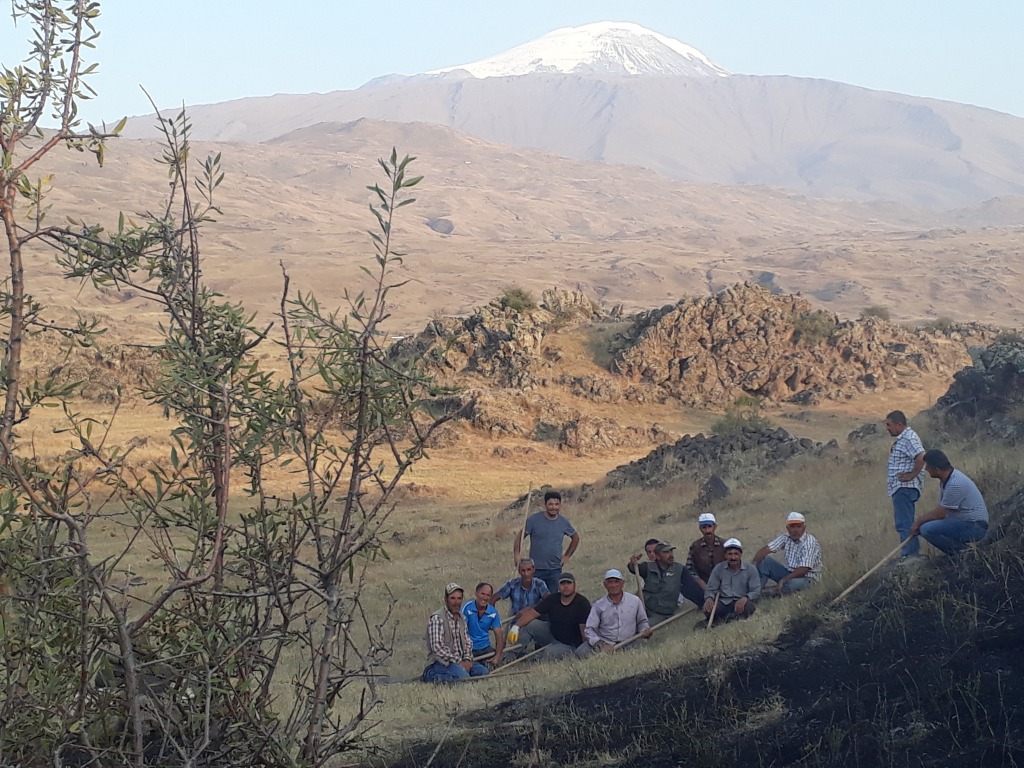 Ağrı Dağı eteklerinde Yangın