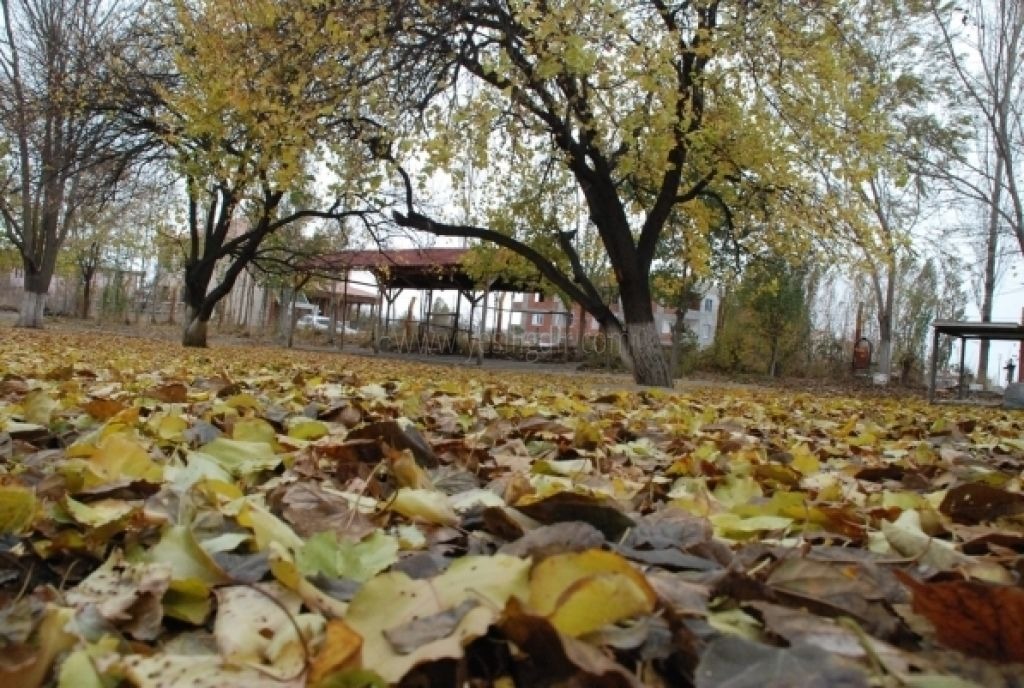 Iğdırda Sonbahar