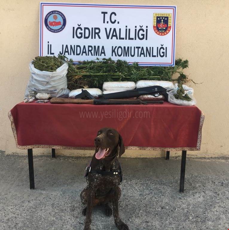 Iğdır'da Sigara ve Uyuşturucu Kaçakçılığı