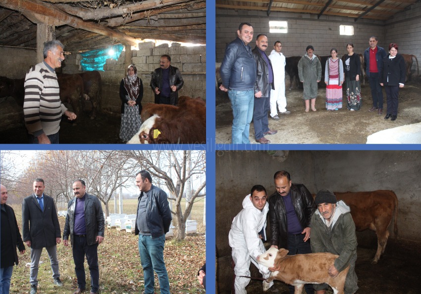 GENÇ ÇİFTÇİ PROJELERİNDEN YARARLANARAK İŞLETME KURAN ÇİFTÇİLERE ZİYARETLER DEVAM EDİYOR