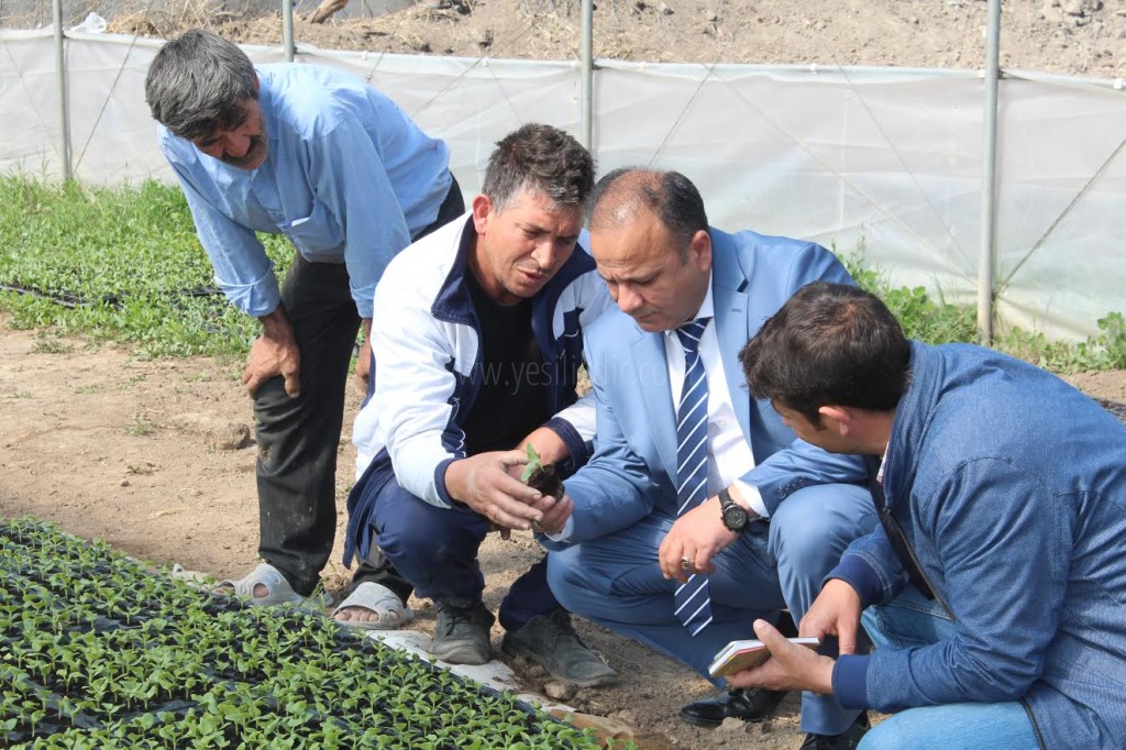 İL GIDA TARIM VE HAYVANCILIK MÜDÜRÜ ÖZKAN YOLCU OBA KÖYÜNDEKİ SERALARI GEZDİ