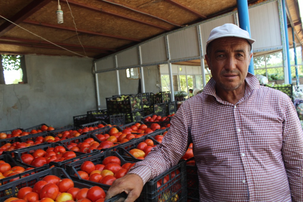 BİR KASA DOMATES 3 TL