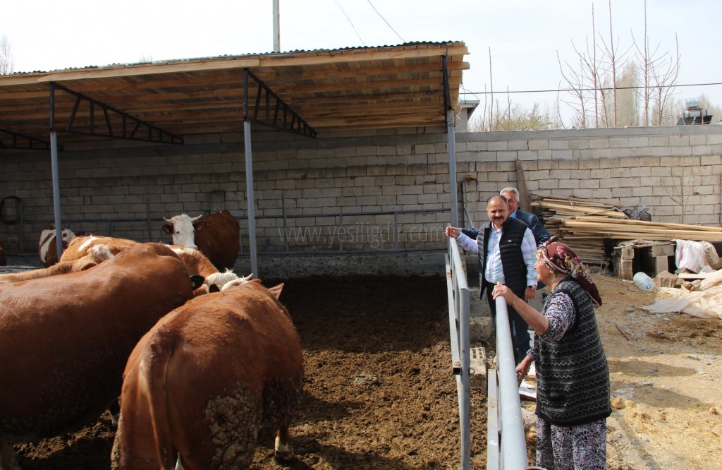 ÖZKAN YOLCU AŞI KÜPE VE HAYVAN TESPİT ÇALIŞMALARIMIZ DEVAM EDİYOR