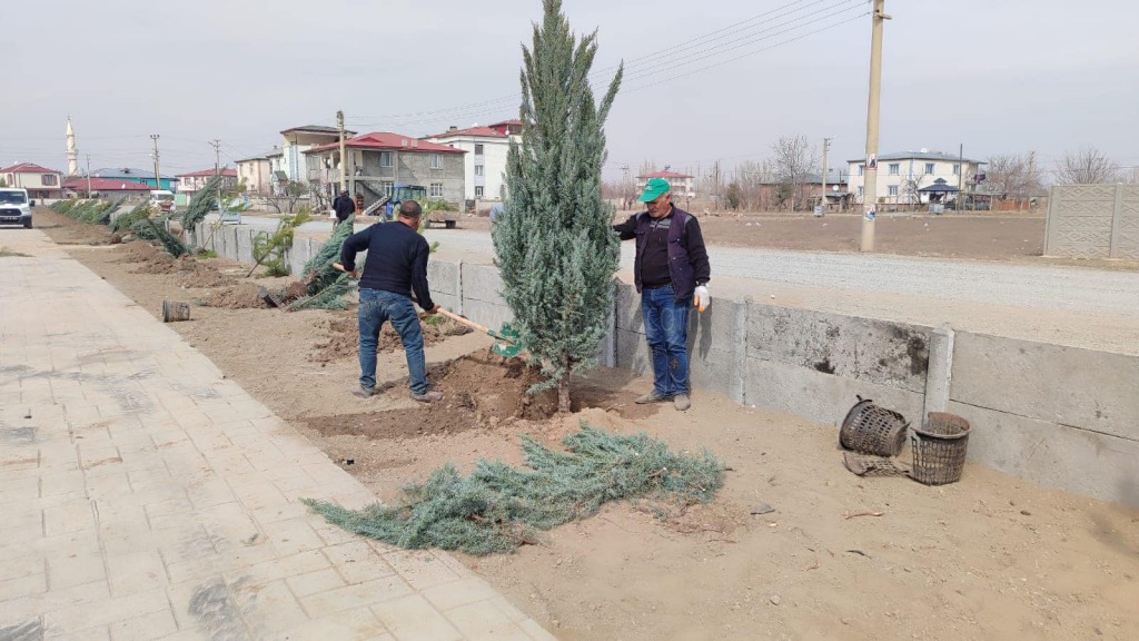 Parklara Ağaç Dikimi Yapıldı
