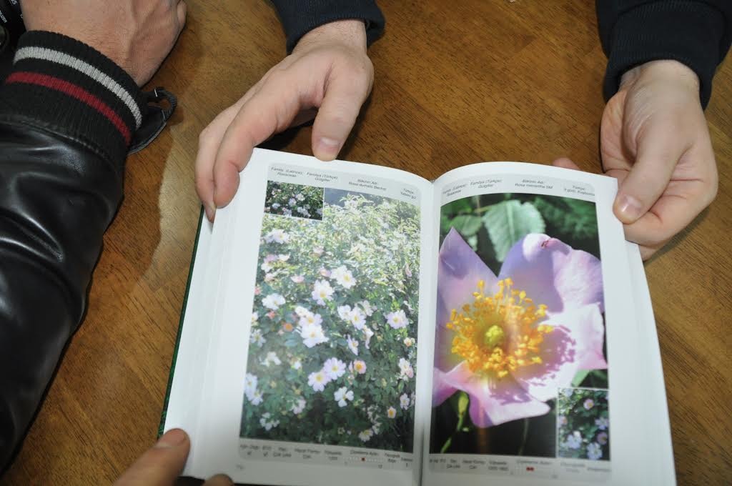 Ağrı Dağının Florası Kitaplaştırıldı