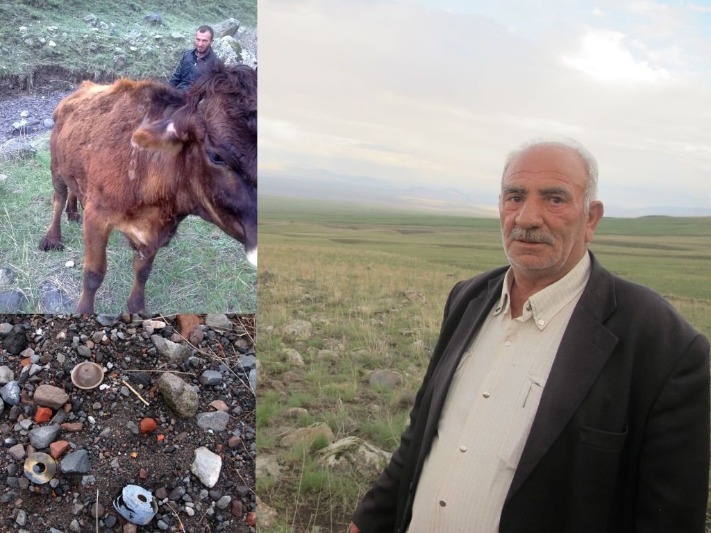 Mayına Basan İneğin Ayağı Koptu