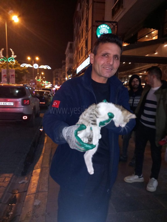 Araç Motoruna sıkışan kedi kurtarıldı