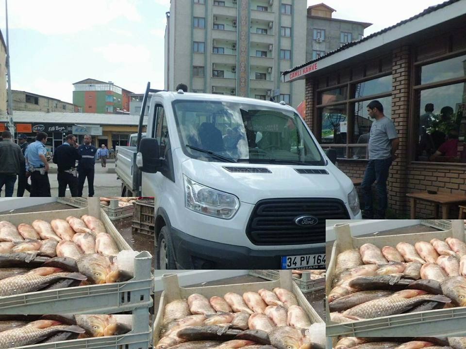 ZABITA BOZUK BALIKLARA EL KOYDU