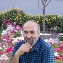 MÜSLİM OĞUZDAN KERBELA AKŞAMLARI MUTLAK OKUNMASI GEREKEN ROMAN
