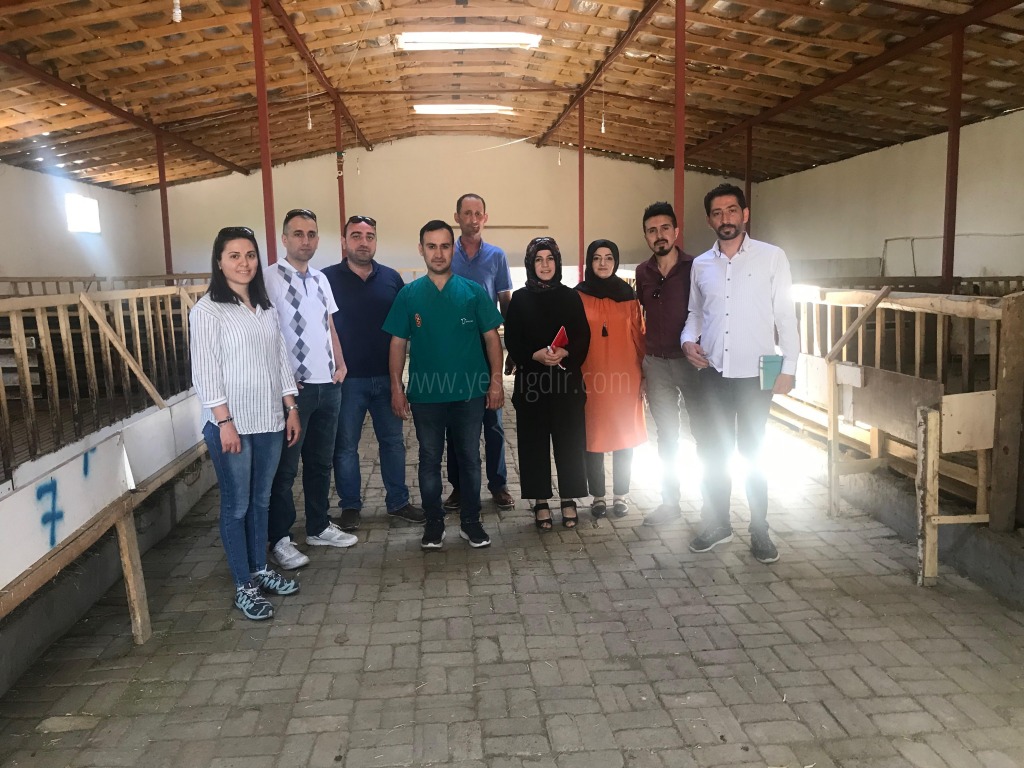Veteriner Hekimlerden Koyun Çiftliğine Ziyaret