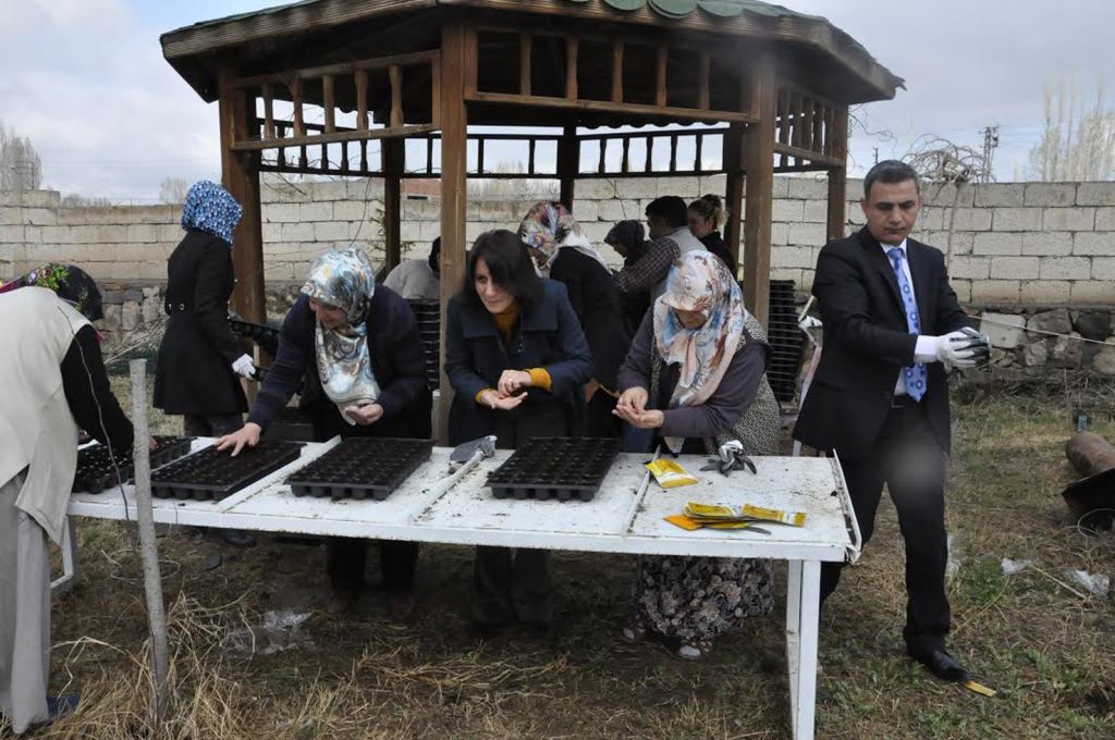Iğdır Belediyesi Iğdır Çevresini Mevsimlik Çiçeklerle Donatacak