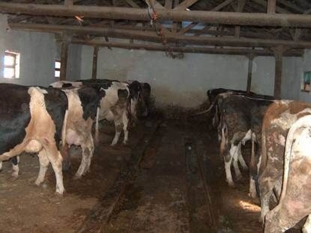 Hükümetten Doğu'ya Hibe Desteği