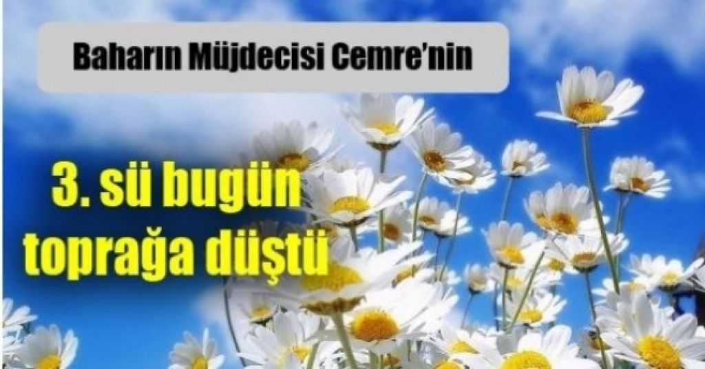 Son cemre toprağa düştü