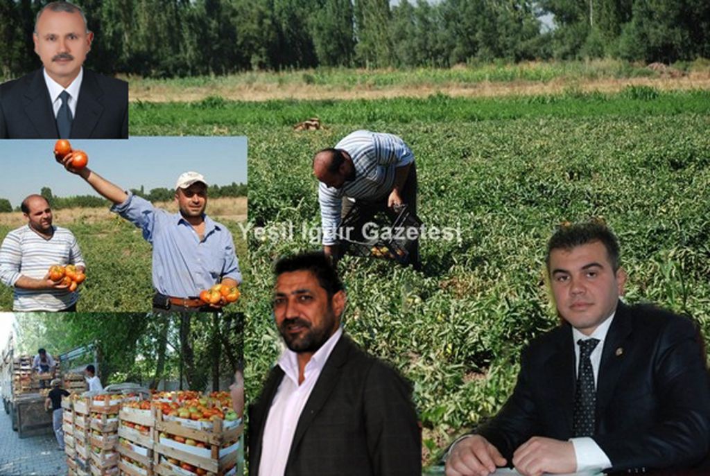Topraktan bereket fışkırıyor