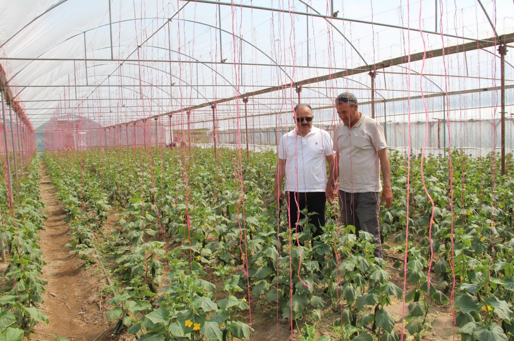İL TARIM MÜDÜRÜ ÖZKAN YOLCU ÇİFTÇİ ZİYARETLERİNE DEVAM EDİYOR