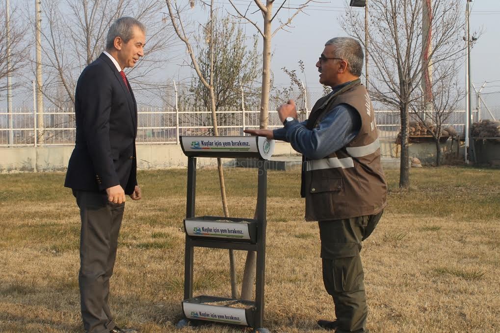 Doğadaki Kuşlar Ölmesin Sahip Çıkalım