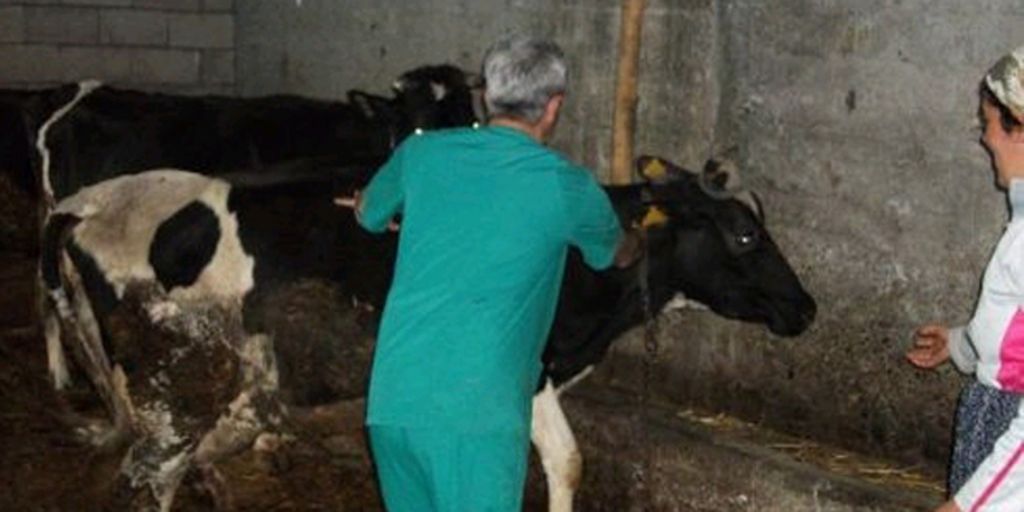 Kuduz ve Brucella Hastalıklarıyla Mücadele