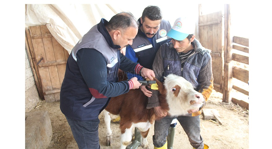 İL MÜDÜRÜ ÖZKAN YOLCU'NUN DÜNYA VETERİNER HEKİMLER HAFTASI MESAJI