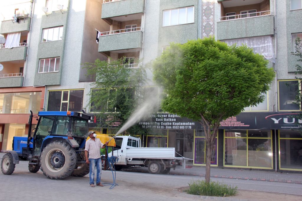 Ağaçlar İlaçlandı