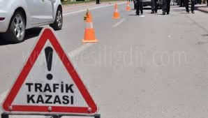 Trafik Kazası 22 Yaralı