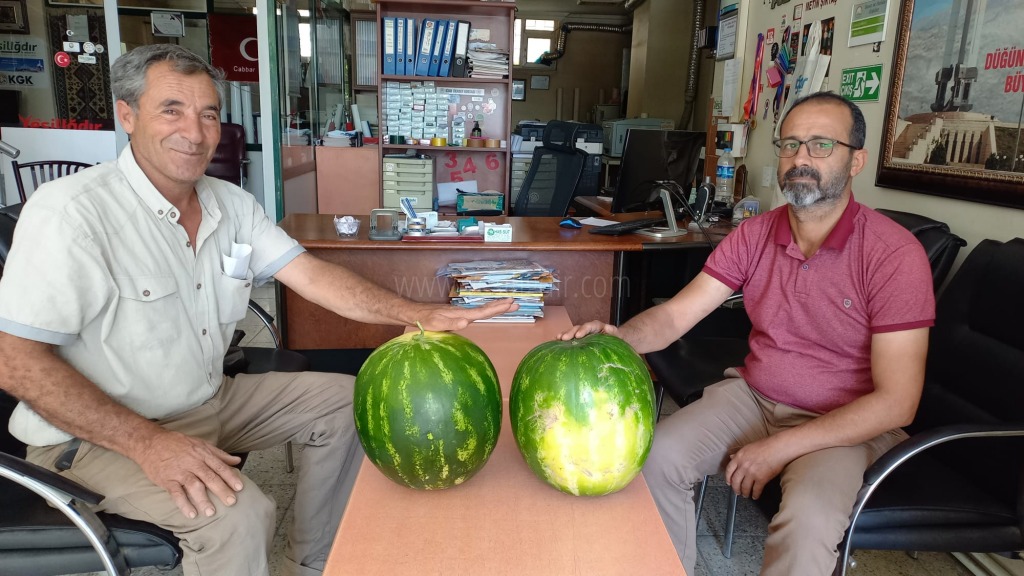 Iğdır Yerli Karpuzu Pazarda Yerini Aldı