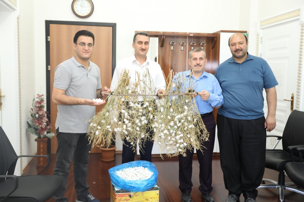 İpek Böcekçiliği Canlandırıyor