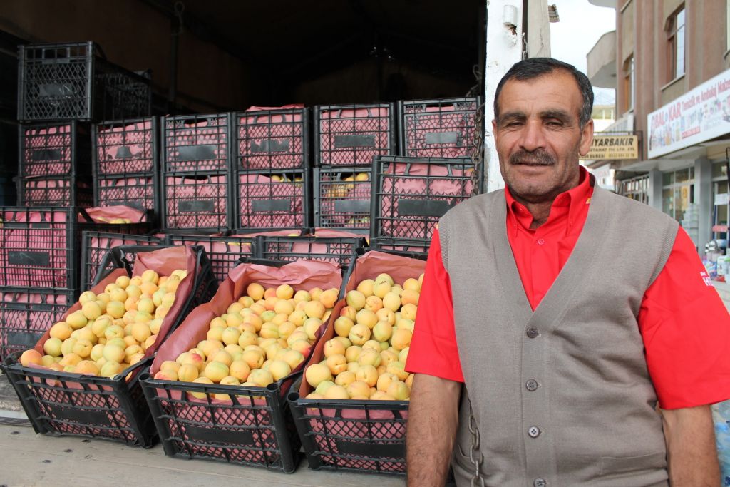 Iğdır Kayısısı pazarda yerini aldı