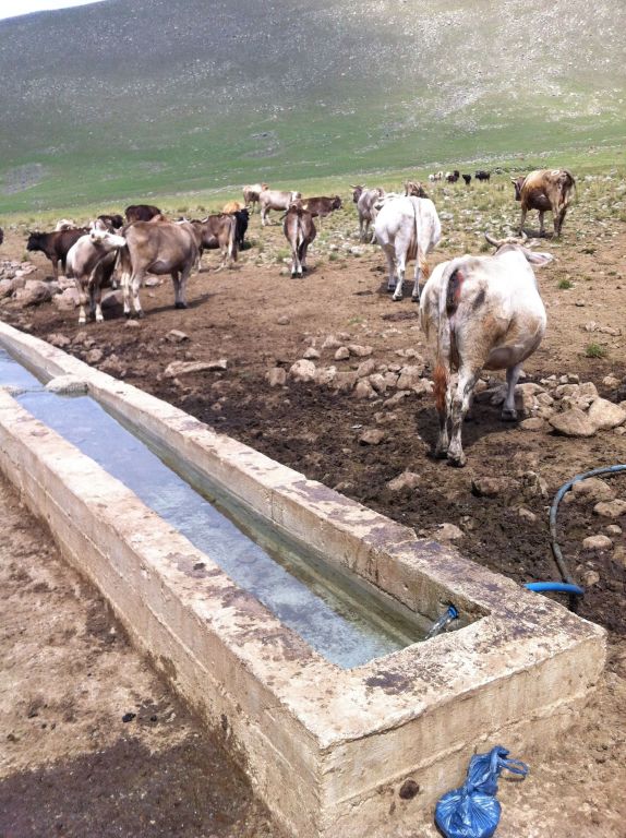 Yaylacılar Köylerin Suyunu Kesti