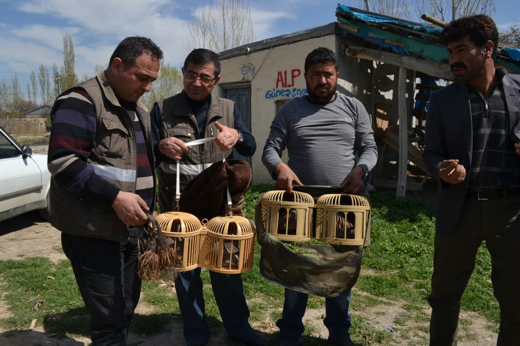 Iğdır Emniyet Müdürlüğünden Kaçak Avcılara Darbe
