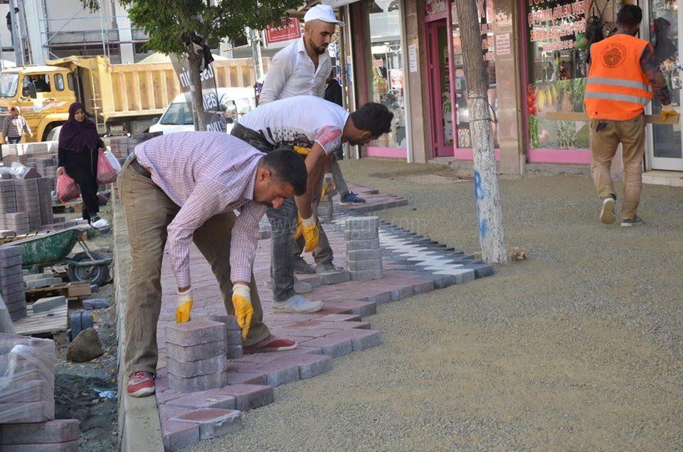 Iğdır Belediyesi Eş Zamanlı Çalışmalarına Devam Ediyor