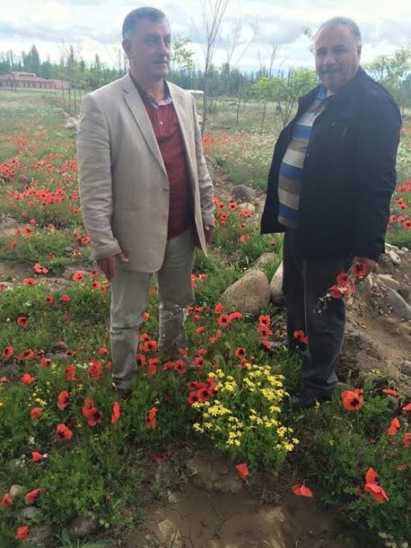 Halfeli Kent Ormanı Güzelliği ile Büyülüyor