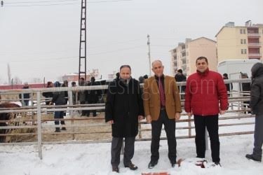 Genç Çiftçi Projesi Kapsamında Hayvan Dağıtımı Devam Ediyor