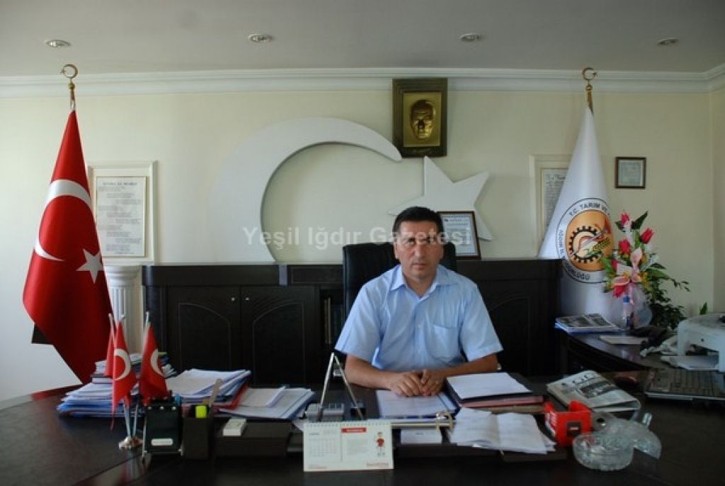 Iğdır Şehir Merkezinde Çekirgeler Uçuşuyor
