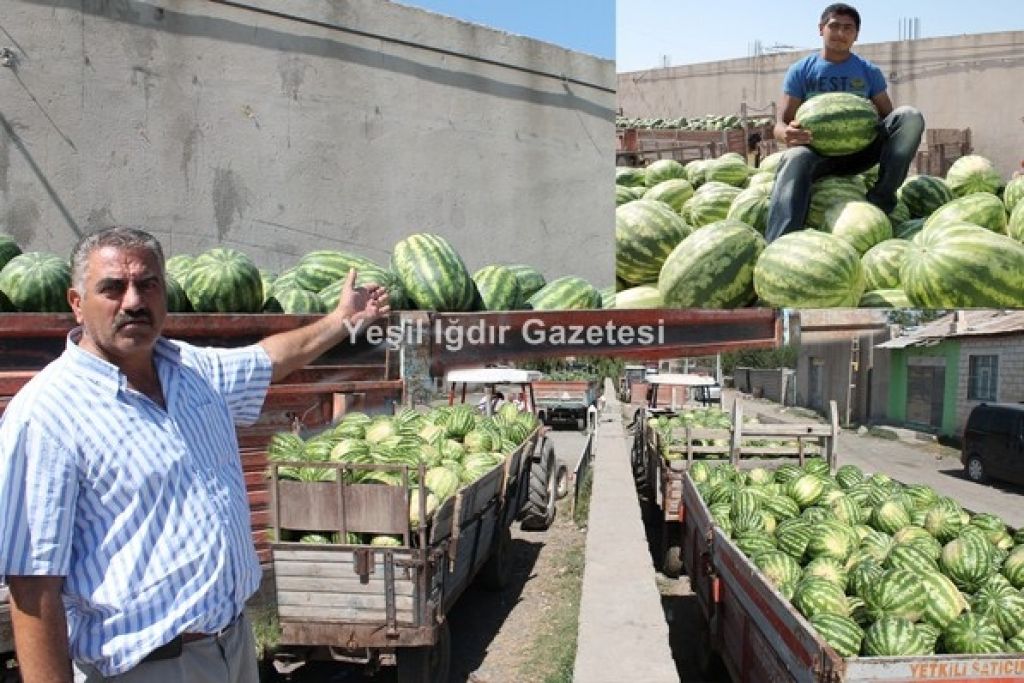 Karpuz Para Etmedi