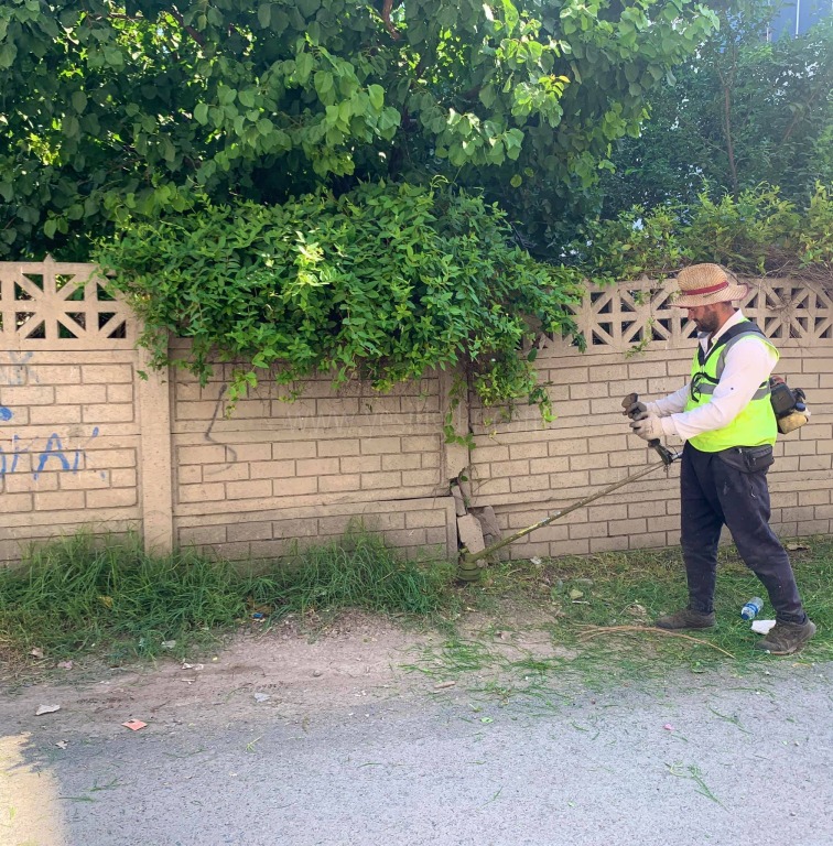 Yabani Ot Temizliği