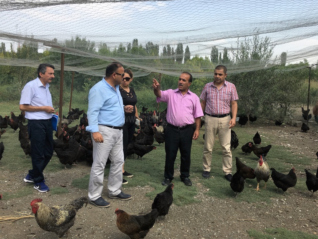 İL MÜDÜRÜ ÖZKAN YOLCU DESTEKLENMİŞ GENÇ ÇİFTÇİ PROJELERİNDE İNCELEMELERDE BULUNDU