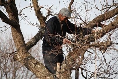 IĞDIR GIDA TARIM VE İŞKURUN ORTAKLAŞA YÜRÜTTÜĞÜ KURSLARA BAŞVURULAR BAŞLADI