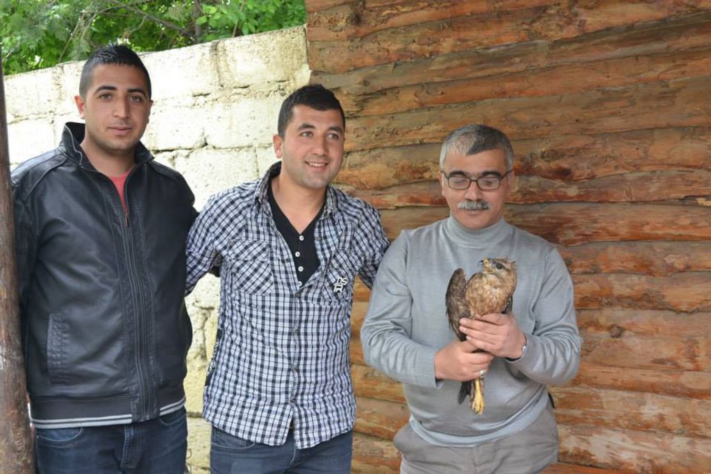 Horozla Kümeste Kapışan Kızıl Şahin Yaralandı