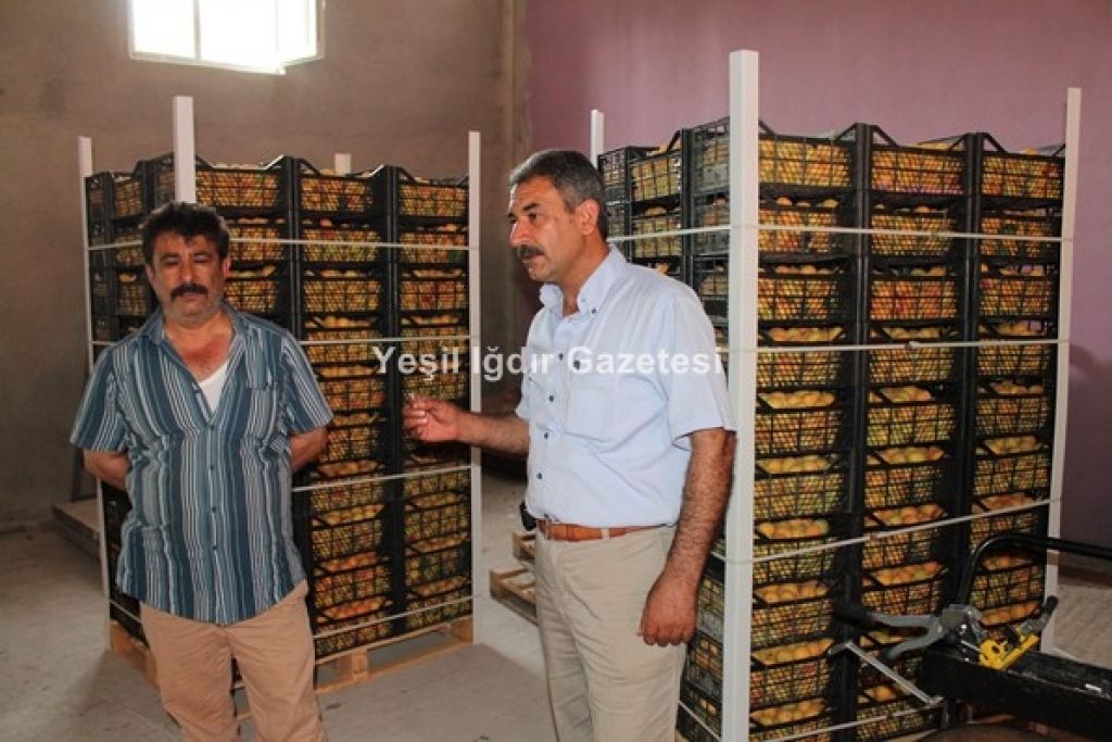Beklenen Oldu Iğdır Kaysısı İhraç Ediliyor