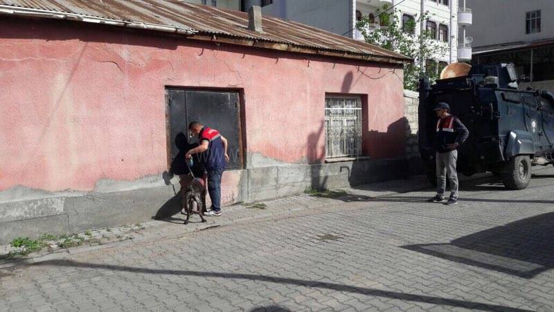 JANDARMADAN KACAK SIGARA OPERASYONU