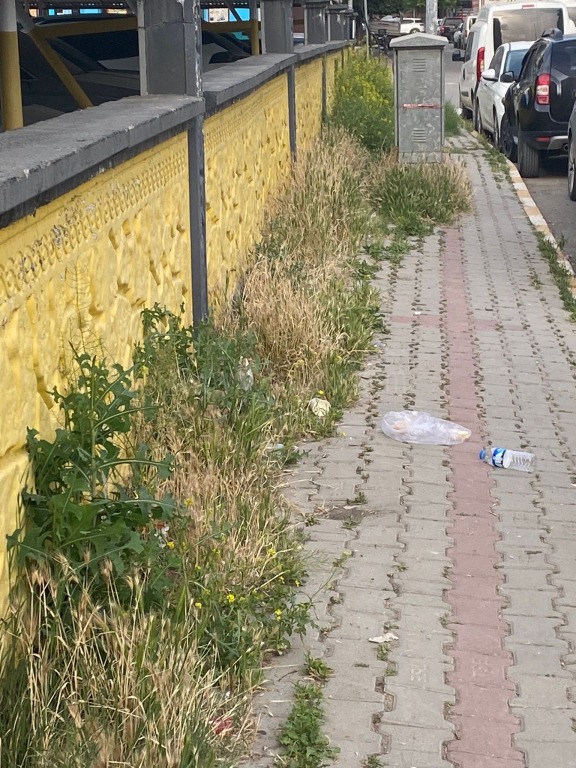 Kaldırımlardaki Otlar Temizlenmeli