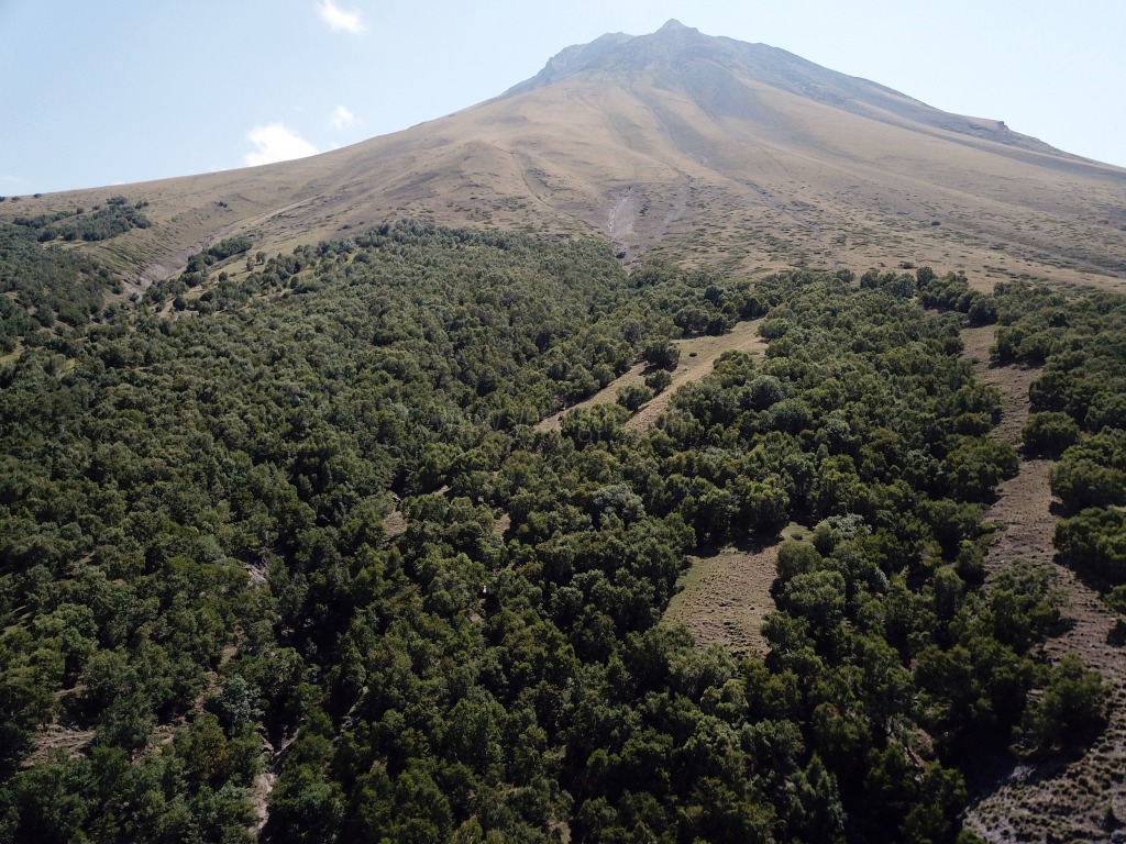 ATA YADİGARI BİR YAYLA SERDARBULAK YAYLASI