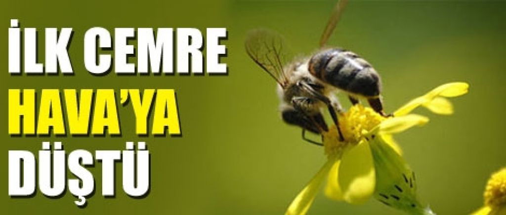 İlk Cemre Havaya Düştü