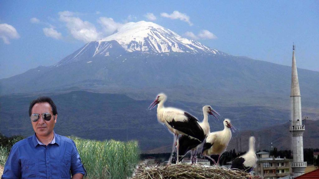 Iğdır Leylek Cenneti