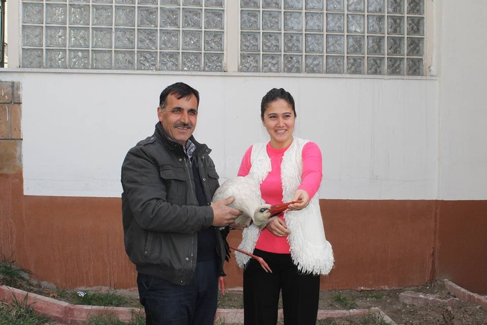 Yaralı Leylek Kurtarıldı