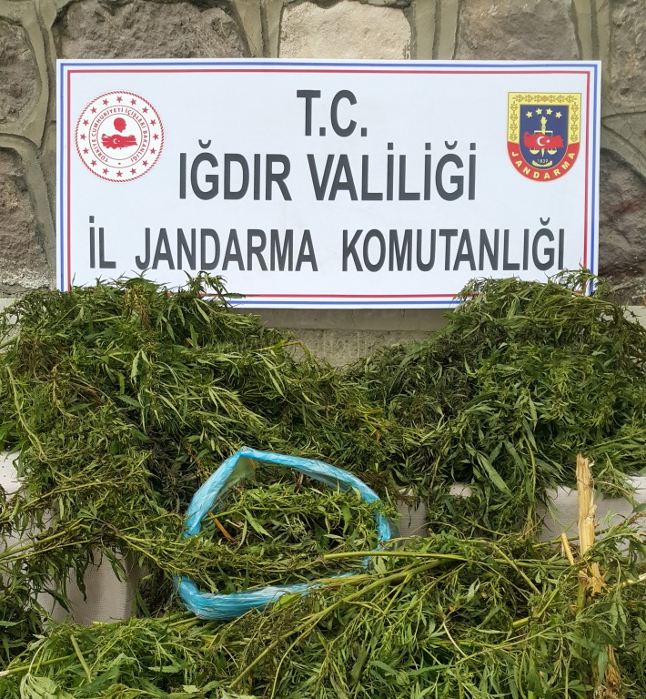 Kenevir bitkisi yetiştirdiği tespit edilen Eve Baskın