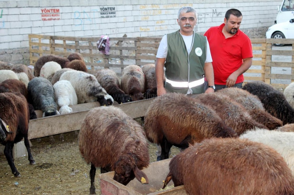 KURBANA ACI ÇEKTİRENE PARA CEZASI