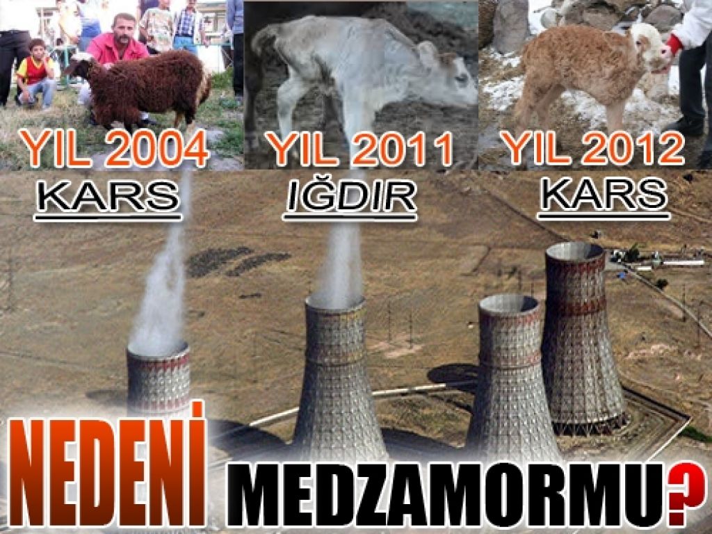 Azerbaycan-Ermenistan arasında Metsamor krizi