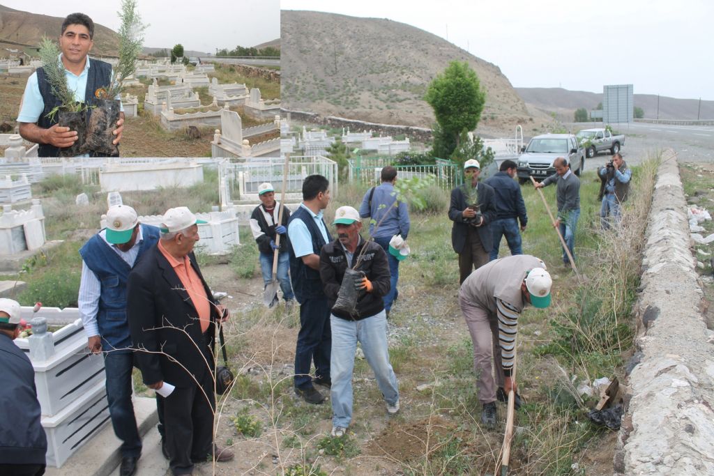 Iğdırda 300 Bin Fidan Toprakla Buluştu